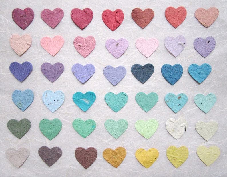 10 Large Flower Seed Paper Hearts image 3