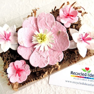 Scatola regalo con fiori di carta con semi per la festa della mamma - Rosa
