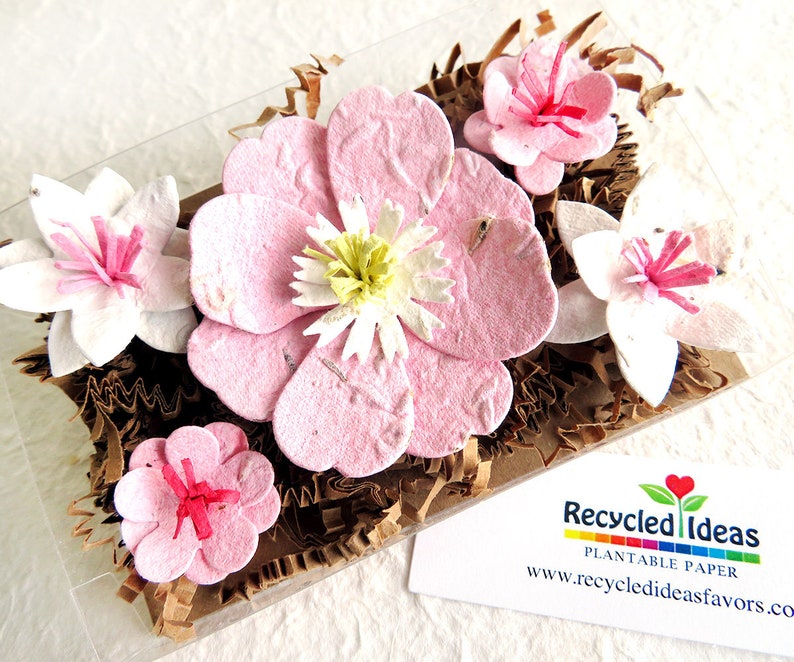 Rosa Samen Papier Blumen Muttertag GartenGeschenkBoxSet