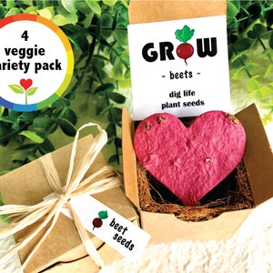 Kit per piantare semi di verdure - Semi a tua scelta - Coltiva le tue verdure - Barbabietole, spinaci, rucola, rape, carote e altro ancora
