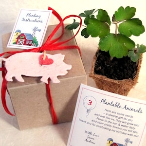 Puede incluir: Una caja de regalo marr&oacute;n con una cinta roja y un adorno de cerdo de papel. La caja contiene una maceta peque&ntilde;a con una planta verde y una tarjeta que dice "Animales Plantables" con el texto "Aqu&iacute; hay algunas semillas - un regalo especial para ti y al igual que nosotros, tambi&eacute;n crecer&aacute;n! Coloca al sol y riega diariamente y pronto ver&aacute;s hermosas flores. &iexcl;Gracias por celebrar mi cumplea&ntilde;os conmigo! Con amor de Andrew".
