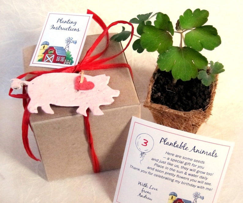 Puede incluir: Una caja de regalo marr&oacute;n con una cinta roja y un adorno de cerdo de papel. La caja contiene una maceta peque&ntilde;a con una planta verde y una tarjeta que dice "Animales Plantables" con el texto "Aqu&iacute; hay algunas semillas - un regalo especial para ti y al igual que nosotros, tambi&eacute;n crecer&aacute;n! Coloca al sol y riega diariamente y pronto ver&aacute;s hermosas flores. &iexcl;Gracias por celebrar mi cumplea&ntilde;os conmigo! Con amor de Andrew".