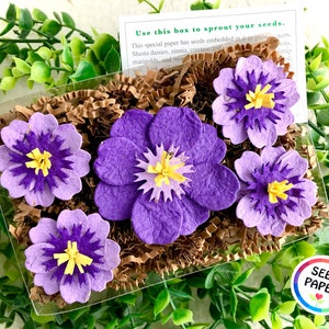 Confezione regalo per il giardinaggio floreale della festa della mamma - Fiori di carta con semi viola