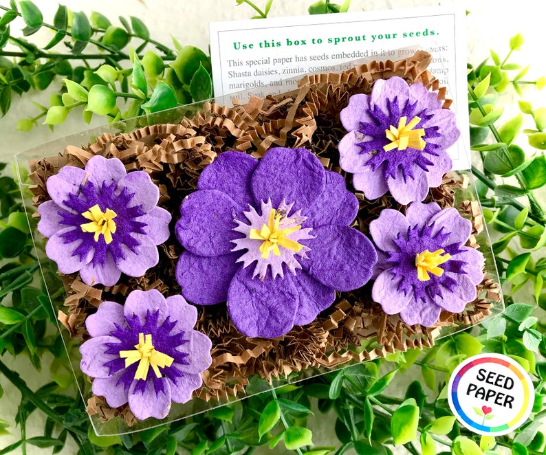 Purple Seed Paper Flowers Mother's Day Gardening Gift Box Set Forever Pressed Flowers Box - 1 Lrg + 4 Sm