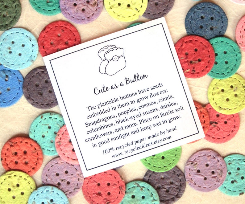 12 Cute as a Button Baby Shower Favors Flower Seed Paper Buttons Confetti Eco Friendly Recycled Paper image 7
