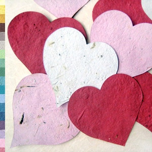 10 Large Flower Seed Paper Hearts image 1