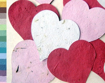 10+ Large Flower Seed Paper Hearts