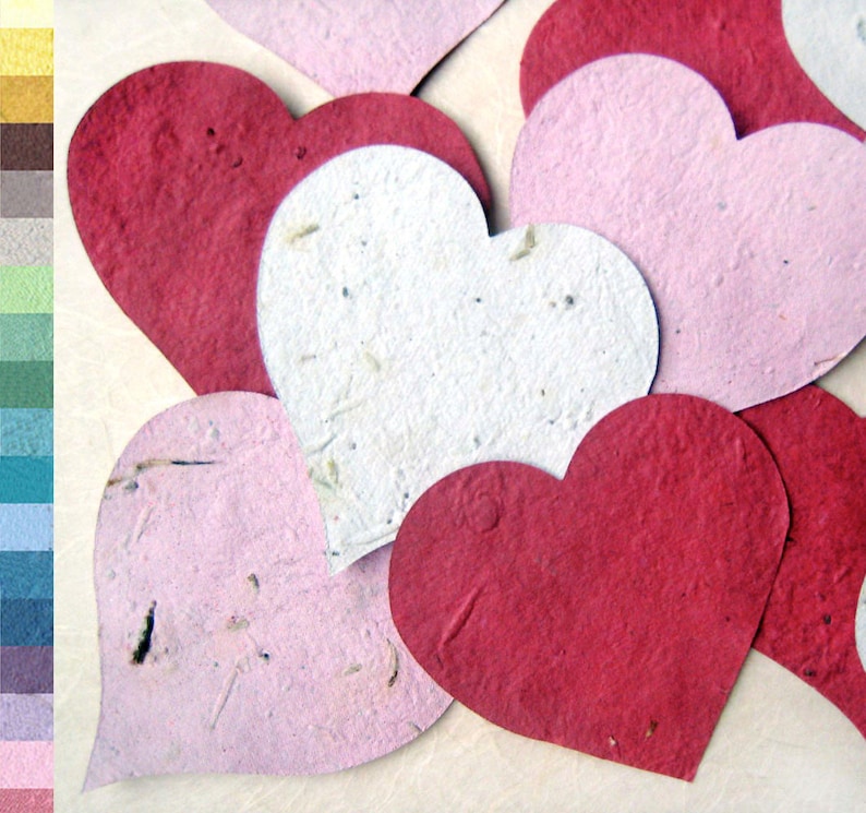 10 Large Flower Seed Paper Hearts image 1