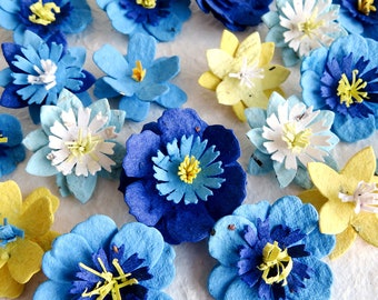 Blue Seed Paper Forget Me Nots Flowers - Gift Box Option
