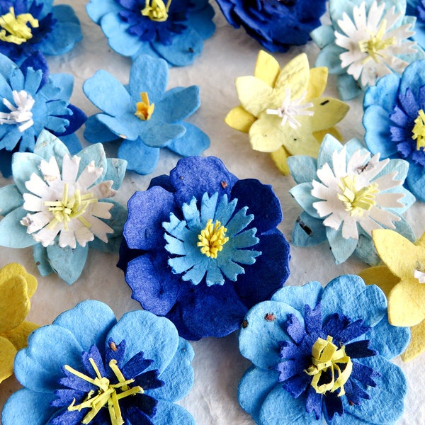 Blue Seed Paper Forget Me Nots Flowers - Option boîte cadeau