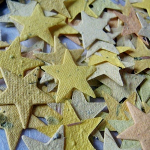 100 Seed Paper Stars Confetti Flower Seed Stars Plantable Paper image 8