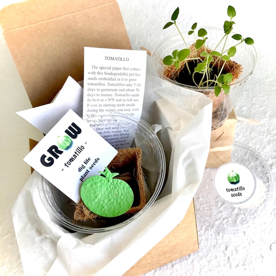 Seed gift sets and kits