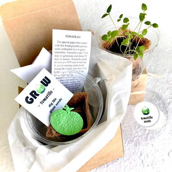 Seed gift sets and kits