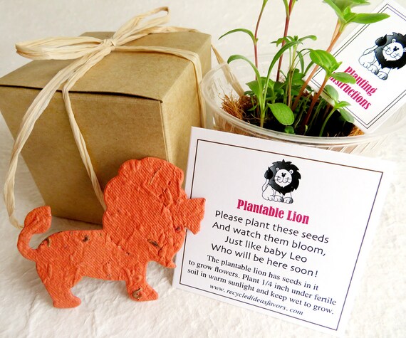 10 zoo wedding favors plantable flower seed paper favors with pots rhinos hippos elephants gorillas giraffes flower seed paper favors
