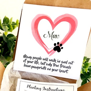 Personalized Pet Loss Gift Box Pet Sympathy Card Flower Seed Paper Plantable Paw with Flower Pot image 2