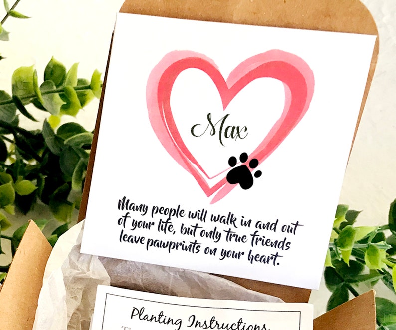 Personalized Pet Loss Gift Box Pet Sympathy Card Flower Seed Paper Plantable Paw with Flower Pot image 2