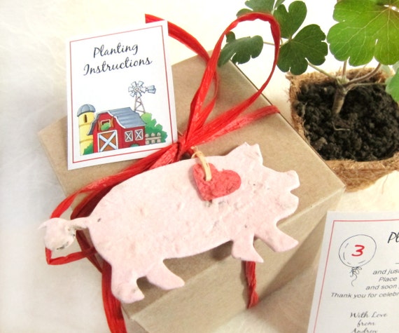 12 Farm Birthday Party Favors with Plantable Paper Flower Seed Pots - Pigs Chicks Sheep Cows Rabbits Goats Roosters