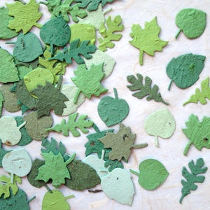 100 foglie di coriandoli di carta con semi di fiori immagine 2