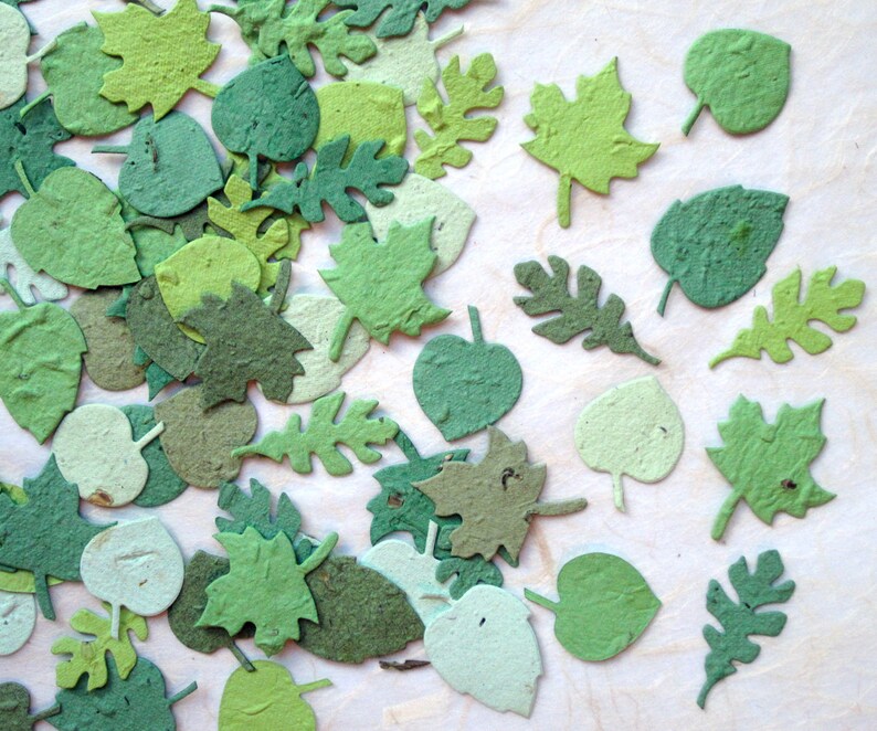 100 foglie di coriandoli di carta con semi di fiori immagine 2