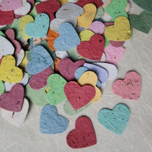 200 Herb Seed Bomb Hearts Plantable Seed Paper Confetti Hearts Wedding Favors Basil Dill Chives Parsley Thyme Oregano image 2