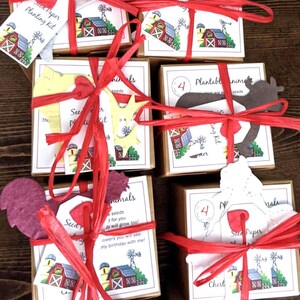 12 recuerdos de fiesta de cumpleaños de granja con macetas de papel para flores y semillas: cerdos, pollitos, ovejas, vacas, conejos, cabras y gallos. imagen 2