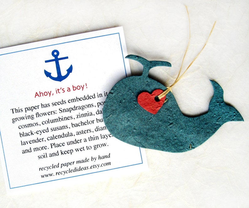 12 Seed Paper Whales Baby Shower Favors Ahoy It's a Boy Cards Flower Seeds Plantable Paper image 4