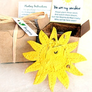 12 Flower Seed Suns First Trip Around the Sun Verjaardagsfeestje Favor - Add Clouds