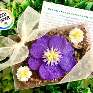 Purple Seed Paper Flowers Mother's Day Gardening Gift Box Set Forever Pressed Flowers Box - 1 large + 2 Sm