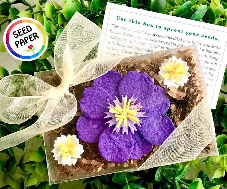 Purple Seed Paper Flowers Mother's Day Gardening Gift Box Set Forever Pressed Flowers Box - 1 large + 2 Sm