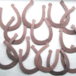40 Seed Paper Horseshoes - Barn Country Wedding Favors with Flower Seeds - Rustic