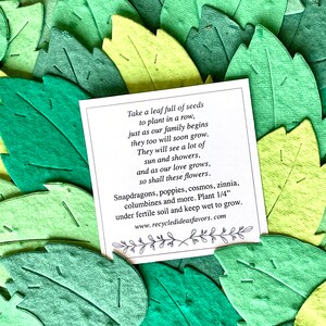 Enveloppes de 12 feuilles de papier de graine de faveur de mariage - feuilles de papier de graine - cartes de cadeau personnalisées - bouleau érable chêne