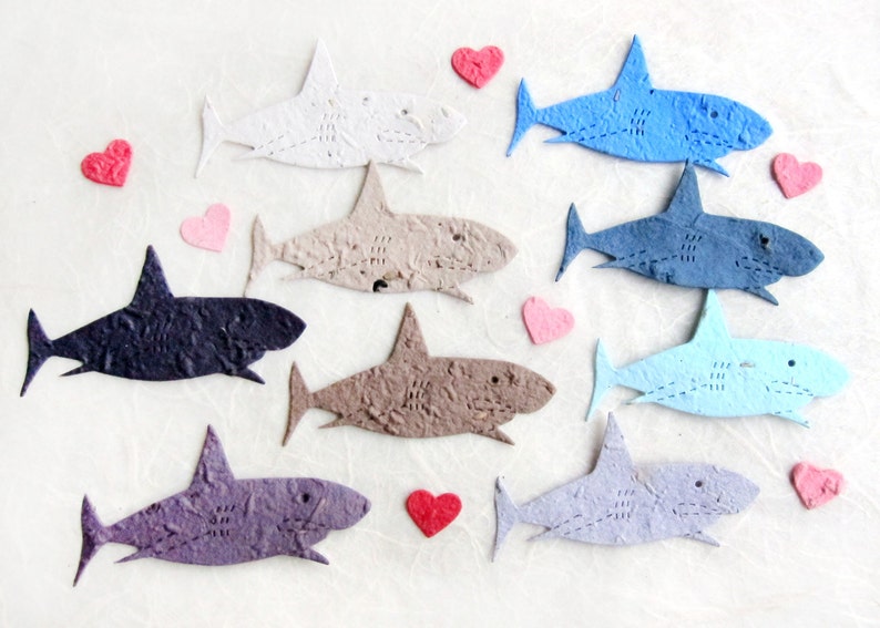 24 Plantable Shark Birthday Party Favors Personalized Option Flower Seed Paper Cards image 2