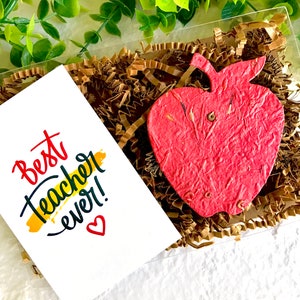 Settimana dell'apprezzamento dell'insegnante - Scatola regalo di mele di carta di semi