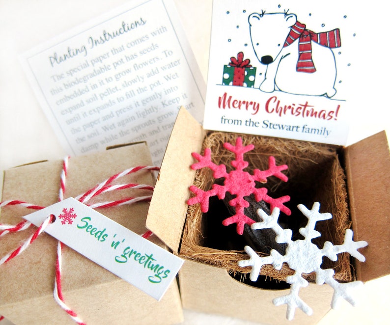 Seed Paper Christmas Tree Planting Kit With Flower Pot Etsy