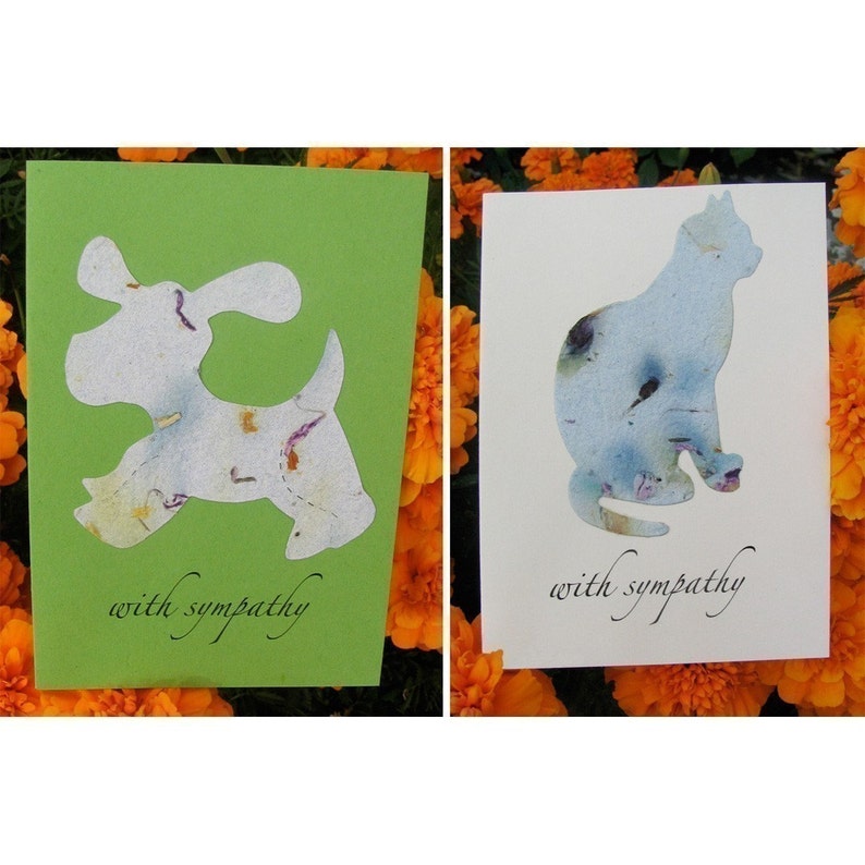 Pet Sympathy Card Plantable Dog or Cat Forget Me Not Flower Seeds image 3