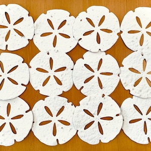 Puede incluir: Diez posavasos de papel blanco en forma de dólar de arena dispuestos en forma de cuadrícula sobre una superficie de madera.