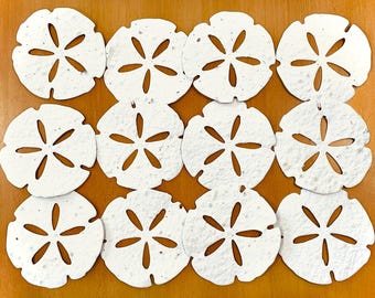 Sand Dollars Flower Seed Paper Wedding Favor Shells - 30 Large 3 Inch