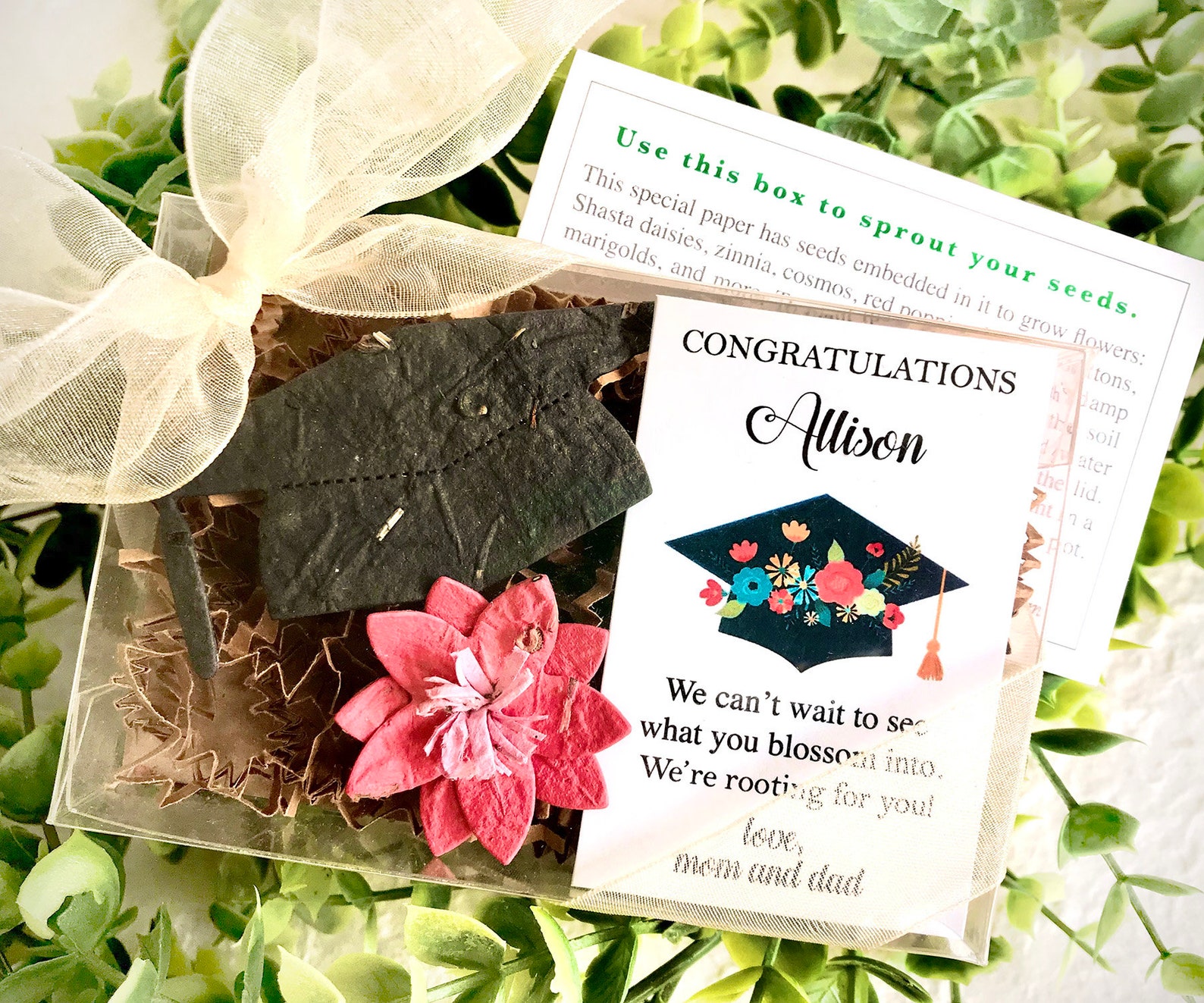 Plantable Graduation Gift Flower Seed Planting Gift Box Etsy