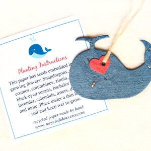 12 Seed Paper Whales Baby Shower Favors Ahoy It's a Boy Cards Flower Seeds Plantable Paper image 2