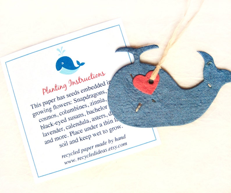 12 Seed Paper Whales Baby Shower Favors Ahoy It's a Boy Cards Flower Seeds Plantable Paper image 2