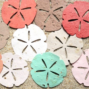 30 gros dollars des sables en papier graine - cadeaux de mariage sur la plage - coquillages en papier graine à planter - mariage à destination