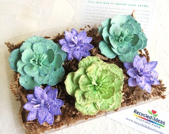 Seed Paper Succulents Wedding Favors - Cactus Gift Box Set - Pressed Flowers