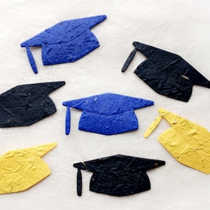 Más de 20 birretes de graduación de papel con semillas - Tarjeta de graduación universitaria - Fiesta de graduación universitaria - Jardín de infantes - Regalo para la oficina de desarrollo universitario