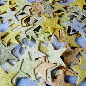 100 Seed Paper Stars Confetti Flower Seed Stars Plantable Paper image 2