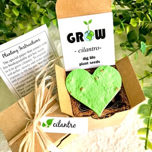 May include: A small brown box with a heart-shaped seed paper inside. The paper is green and has the words "GROW cilantro- dig life plant seeds" on it. The box is tied with a brown ribbon and has a small tag that says "cilantro".