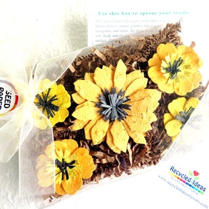 Set di scatole regalo girasoli di carta di semi gialli - Susans Marigolds dagli occhi neri - Regalo host