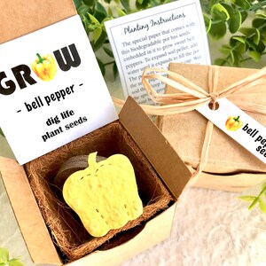 Bell Pepper Seeds Paper Gardening Gift Box Kit with Pot - Homeschool Gardening - Peppers - Your choice seeds - Grow your own veggies