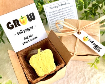 Bell Pepper Seeds Garden Gift Box Kit with Pot - Pick your own veggies