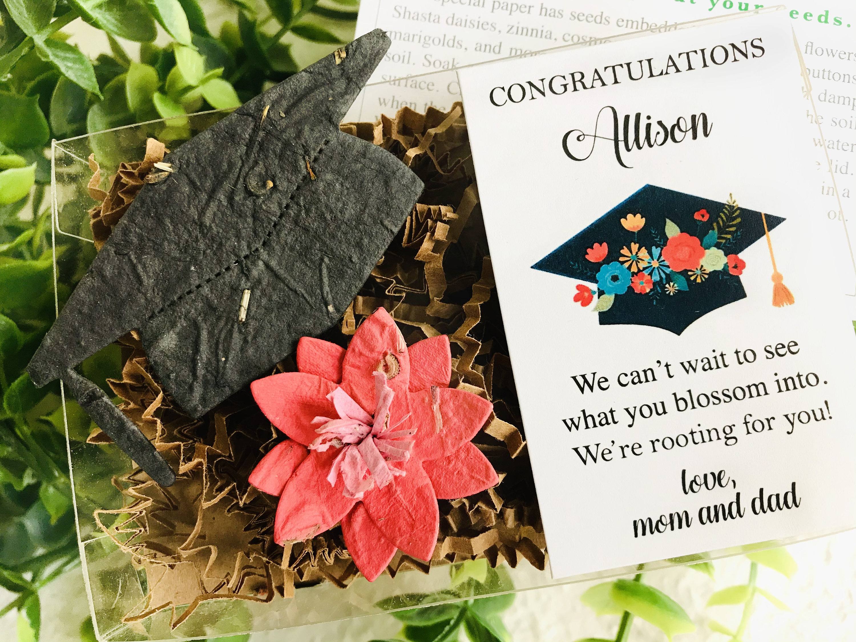 Plantable Graduation Gift Flower Seed Planting Gift Box Etsy