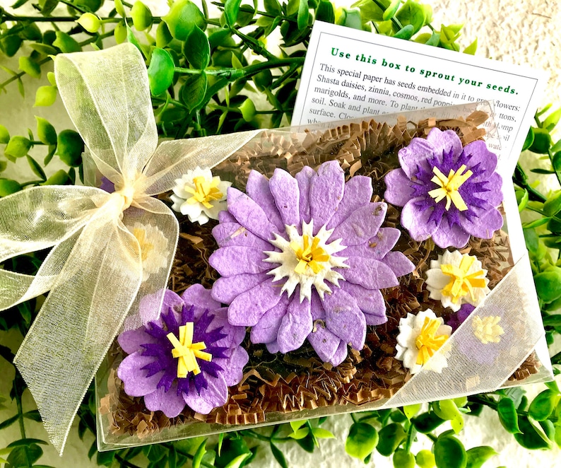 Purple Seed Paper Flowers Mother's Day Gardening Gift Box Set Forever Pressed Flowers image 1